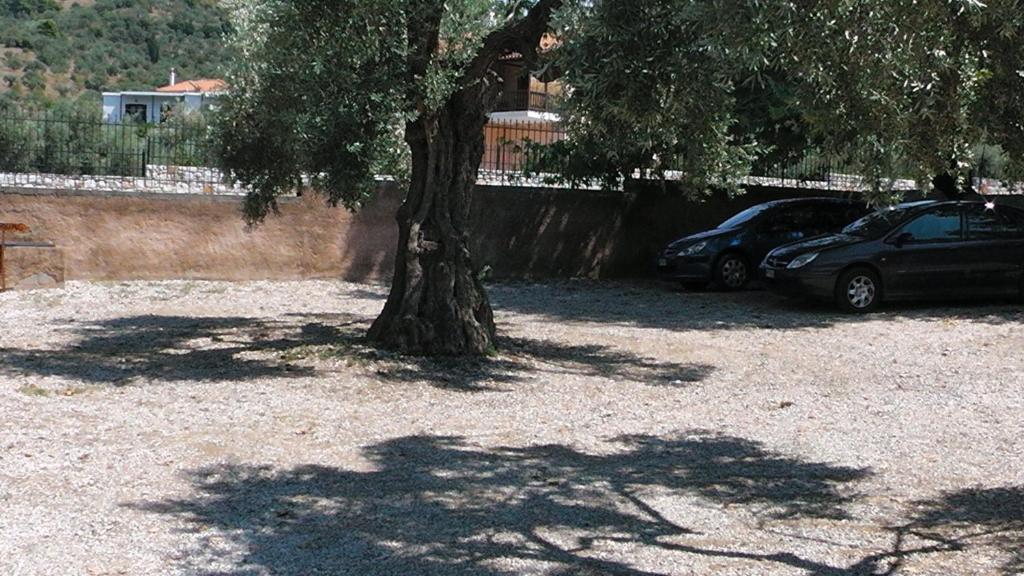 Villa Maro Skopelos Exterior foto